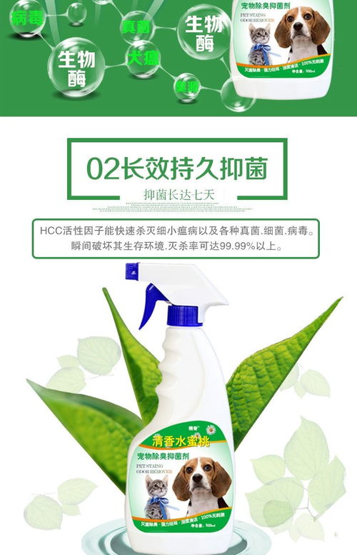 清新家居，呵護寵物 狗狗除臭劑與寵物殺菌消毒液的全面指南